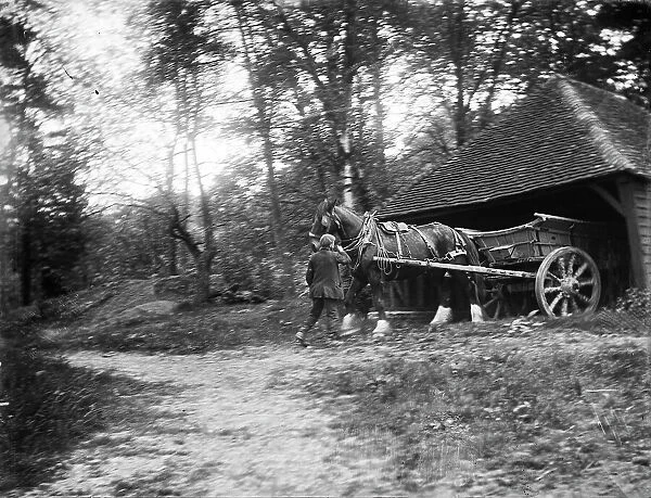 Horse, cart and shed MCF01_02_1554