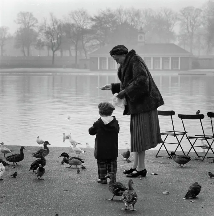 Framed Print : Hyde Park aa099141