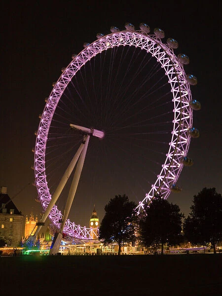 The London Eye N061029