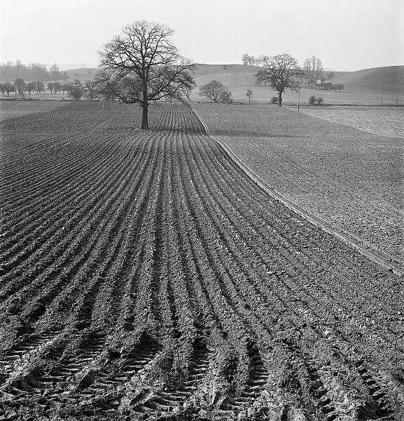 Ploughed field AA079453
