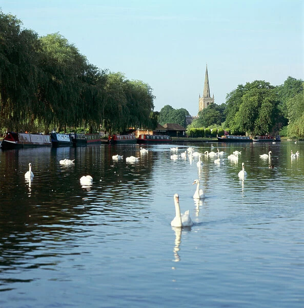 River Avon, Stratford-upon-Avon K991548
