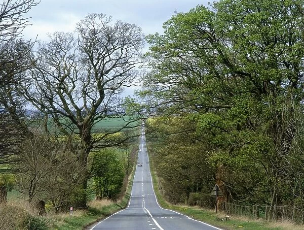 Roman road K060463. HADRIAN'S WALL, Northumberland