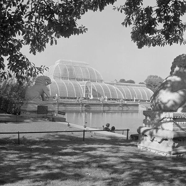Royal Botanic Gardens, London AA064156