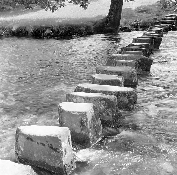 Stepping Stones AA98_05078