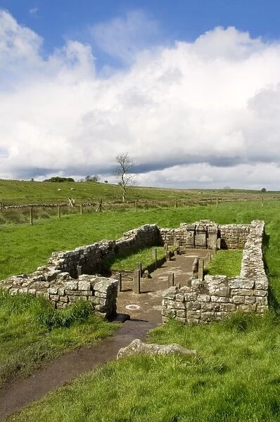 Temple of Mithras N070982