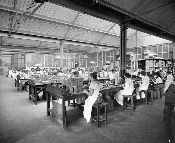 Teofani Factory 1916 BL23660_002