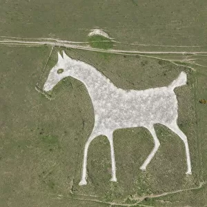 Alton Barnes White Horse 29603_050