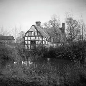 Print of Artists Cottage, a timber-framed house in Worcester, Worcestershire