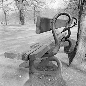 Bench in Kensington Gardens a98_06267