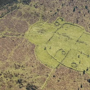 Buckland Common, Dartmoor 35597_010