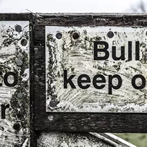Bull warning DP234597