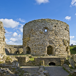 Camber Castle N100289