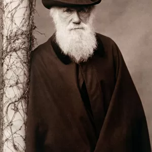 Charles Darwin K970214