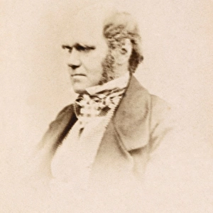 Charles Darwin K970235