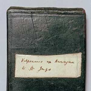 Charles Darwins notebook N020035