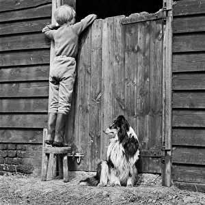 Child and dog a075816