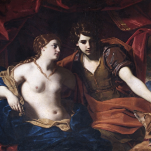 Cignani - Venus and Adonis N070571