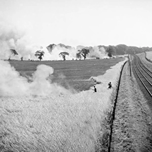 Fields on fire, Norfolk a98_11587