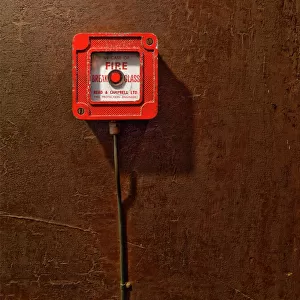 Fire Alarm, J. W. Evans N080194