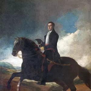 Goya - Equestrian portrait of the Duke of Wellington N070532