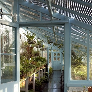 The greenhouse at Down House N080877