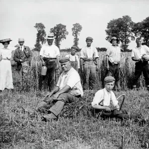 Harvest Time Print, Lower Cadsden Buckinghamshire 1903 Harvest Time Print, Lower Cadsden Buckinghamshire 1903