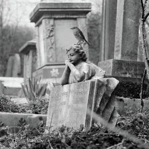 Highgate Cemetery aa074407