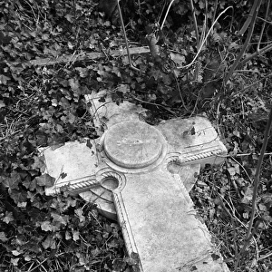 Highgate Cemetery MF001691_01