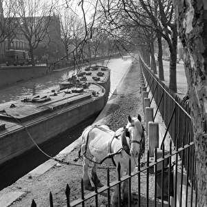 Horse and canal barge a064520