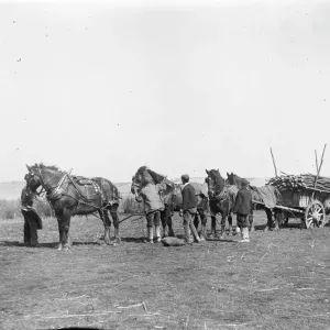 Horse Power Print: Four Horses and Timber Cart