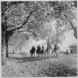Horse Riding in Hyde Park lrm01_01_209 Horse Riding in Hyde Park lrm01_01_209