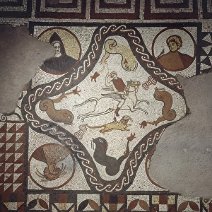 Mosaic floor, Lullingstone Roman Villa J910064