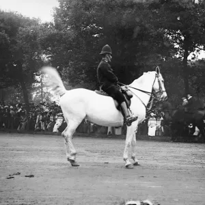 Mounted Policeman Print, Hyde Park