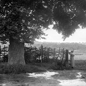 Oxfordshire country gate BB73_00142