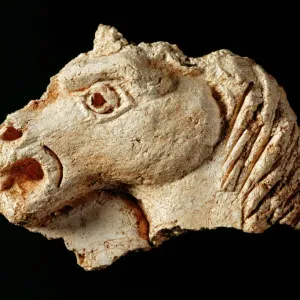 Print of a Plaster Fragment, Horses Head