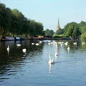 River Avon, Stratford-upon-Avon K991548