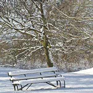 Snow covered bench N090025