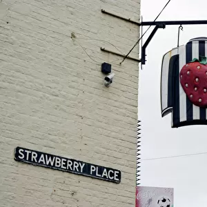The Strawberry pub sign PLA01_05_041
