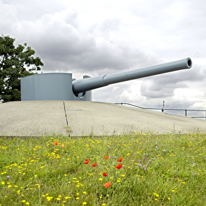 Tilbury Fort gun N071539