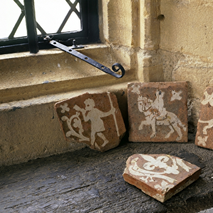 Tiles at Muchelney Abbey K971727