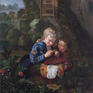 Van Der Neer - Boys with a Trapped Bird N070551