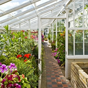 Walmer Castle greenhouse N110117