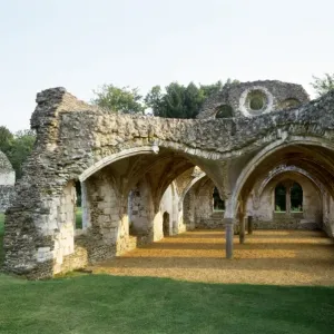 Waverley Abbey Print: View of the abbey buildings looking south Waverley Abbey Print: View of the abbey buildings looking south