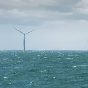 Westermost Rough Wind Farm DP168944