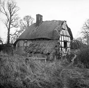 Derelict Collection: Artists Cottage a62_02881