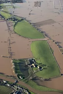Images Dated 9th January 2014: Athelney flooding 27897_022
