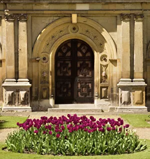 Audley End gardens Collection: Audley End N071143