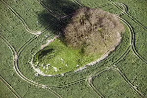 Images Dated 17th September 2021: Avebury Down barrows 29629_005