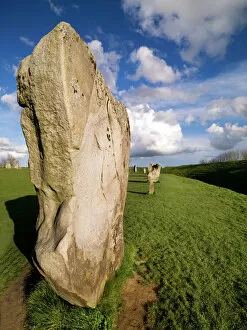 Neolithic Collection: Avebury Stone Circle N080684