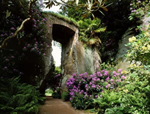 Arch Collection: Belsay Quarry Garden K021165